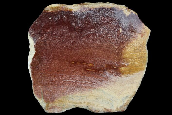 Polished Noondine Chert (Stromatolite) Slab - Billion Years #92874